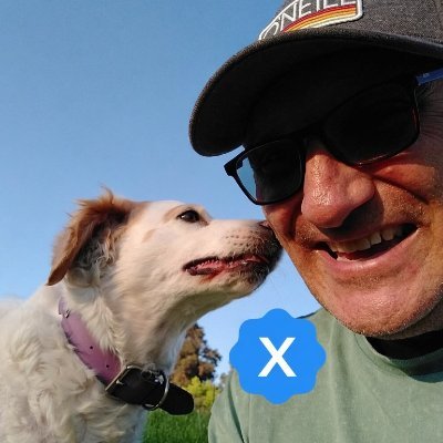 Pedro Montecinos's profile picture
