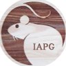 Profilbild von IAPG