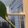 Lana 🗝️'s profile picture