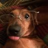 jo★rdn profil fotoğrafı