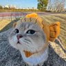 💞 profil fotoğrafı