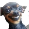 SORTE profil fotoğrafı