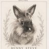 Profilbild von Bunny Steve