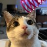 chance profil fotoğrafı