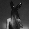 ꕤ profil fotoğrafı