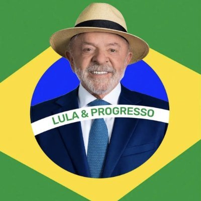 BRASILULEI's profile picture