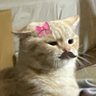 น้องโป-ท์ ฤาชากุลลล🤘🏻 profil fotoğrafı