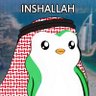 SALAR's profile picture