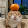 Profilbild von headd lights