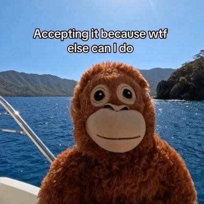 liloquacious's profile picture