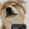A's profile picture