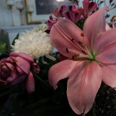 SheJieun516's profile picture