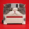 Floppy's profile picture