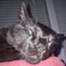 Theo's profile picture