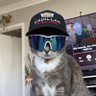 Фото профиля checo fan #11