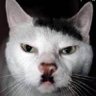 The Retarded Oracle's profile picture