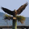Eric Etzel's profile picture