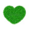 SOFIA's profile picture