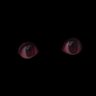 J's profile picture