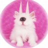 Rola's profile picture