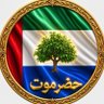 الـ #شنفري الـ #حضرمي's profile picture