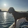 Brody V's profile picture