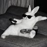 Rabbit's profile picture