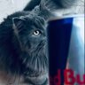 حَـ𝟳𝑨's profile picture