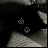 Profilbild von ghost