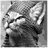 Profilbild von Cat Fu