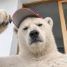 Profilbild von polar