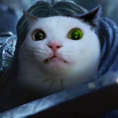 Shenimations's profile picture