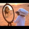 Profilbild von ناقص بن فاطس