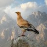 Фото профиля صاحب القضية😇