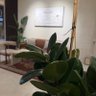 Фото профиля حنان العنزي