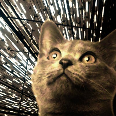 BlackMES's profile picture