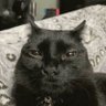 سهيلان profil fotoğrafı