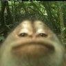 Monke_gaming's profile picture