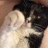 ヨーコ@ヨコハマ profil fotoğrafı