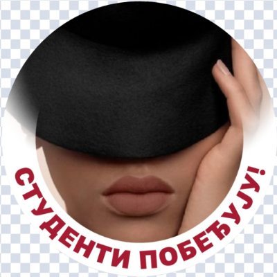 SneleZaratustra's profile picture