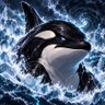 Фото профиля Killah Whale