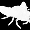 Profilbild von Superfly_1965