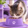 Profilbild von 猫に御飯
