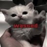 Profilbild von rezuu