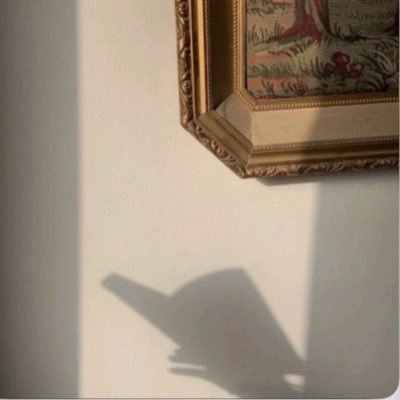 askdrmaxwe's profile picture