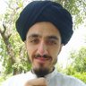 Shah Wali Ullah๐ต๐ธ's profile picture