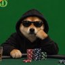 Profilbild von drypto