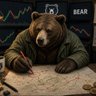 Bear Boy profil fotoğrafı