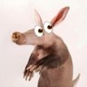 Aardvark 的头像