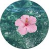 Popoe's profile picture